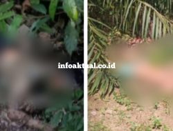 Heboh, Dalam Seminggu Dua Mayat Ditemukan Di Kabupaten PALI