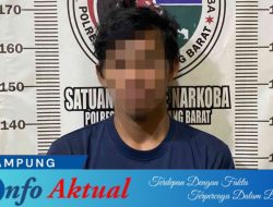 Sat Res Narkoba Polres Tulang Bawang Barat Unit Opsnal Ringkus Pelaku Kedapatan Miliki Sabu
