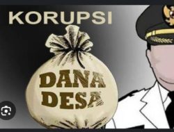 Dana desa  KeJadian way Serdang pada tahun 2022 -2024 diduga Mark Up dan banyak penyimpangan.