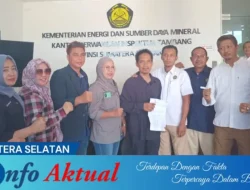 Miris! Tak Punya Anggaran, Inspektur Tambang Sumsel Akui Lakukan Pengawasan Secara Daring