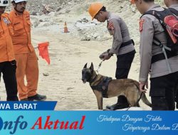 Unit K-9 Polda Jabar Temukan Tiga Titik Diduga Korban Longsor di Gunung Kuda Cirebon