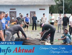 Momen Hari Raya Idul Adha 1446 H, Polres Tulang Bawang Sembelih 15 Ekor Hewan Kurban