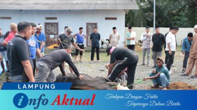 Momen Hari Raya Idul Adha 1446 H, Polres Tulang Bawang Sembelih 15 Ekor Hewan Kurban