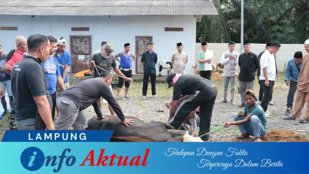 infoaktual lampung 16239f52 8d74 46a6 9fbc 266f9a38d78d