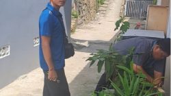 IMG 20250815 204142 1