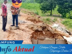 Petani keluhkan Pembangunan Gorong-Gorong Dinas PUPR Tubaba Rugikan Petani, Sawah Gagal Tanam