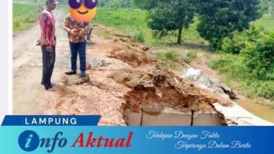 Petani keluhkan Pembangunan Gorong-Gorong Dinas PUPR Tubaba Rugikan Petani, Sawah Gagal Tanam
