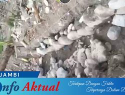 Proyek P3-TGAI di Desa Koto Padang Kota Sungai Penuh Disorot, BWSS VI Propinsi Jambi Diduga Lalai dan Gagal