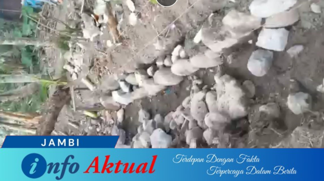 infoaktual jambi 5a03b5da 4373 4f78 b169 efd7081bc57d