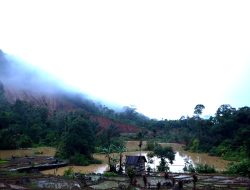 LONGSOR BESAR TUTUP ALIRAN SUNGAI DI TALAMAU, 3 RUMAH TERTIMBUN DAN 6 WARGA BELUM DITEMUKAN