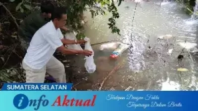 Penebaran bibit Ikan Baung di Desa Pajar Bulan, Kecamatan Lengkiti.