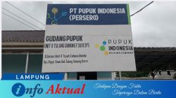 Distribusi Gelap? Gudang Pupuk Salah Alamat dan Kepala Gudang Tak Tahu Kios Potensi Pelanggaran UU Mengemuka 3 infoaktual lampung 77deca65 d70c 43ff bcd7 d8254b75ede8