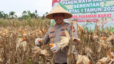 Polres Pasaman Barat Gelar Panen Jagung Serentak Kuartal I 2026 di Nagari Lingkuang Aua Bandarejo