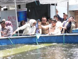 Pemkab Pasbar Apresiasi Realisasi Bantuan Alsintan dan Sarana Perikanan melalui Pokir DPR RI