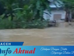 Banjir 1,5 Meter Rendam Permukiman dan Sawah, Warga Harapkan Perhatian Dinas Terkait