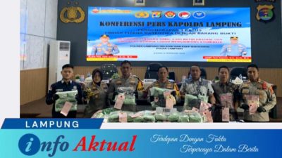 infoaktual lampung 20fa32b7 31fd 4847 ae57 8793abcf180b