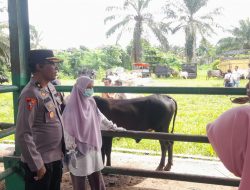 Jelang Iduladha 1447 H, Polres Pasaman Barat Tingkatkan Antisipasi Pencurian Hewan Ternak