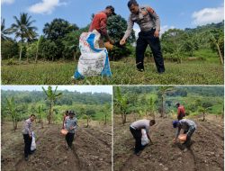 Sinergi untuk Ketahanan Pangan, Satlantas Polres Kuningan Turun Langsung ke Sawah Bantu Petani Desa Cibulan