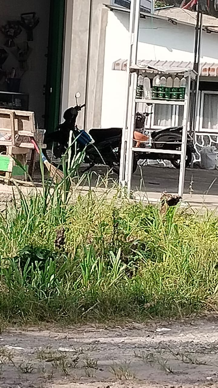IMG 20260628 WA0054