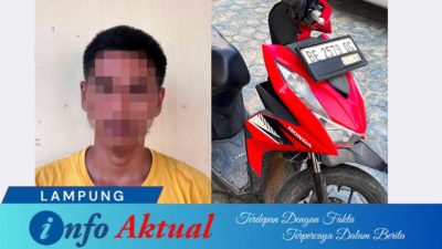twibbon infoaktual lampung e6b14d40 f138 4844 9254 70b1433e7768