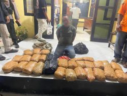 Tim Ditresnarkoba Polda Sumbar dan Polres Pasaman Barat Gagalkan Peredaran 30 Paket Ganja, Kurir Ditangkap di Ranah Batahan