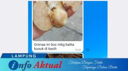 twibbon infoaktual lampung d3f04ae3 78fd 46d2 aaf7 64176c2306ba