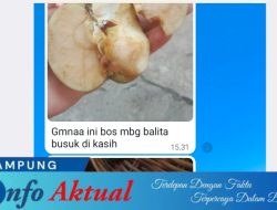 Kualitas Bantuan MBG di Tiyuh Bujung Dewa Dipertanyakan: Buah Busuk dan Ayam Potongan Kecil Dikhawatirkan Sebabkan Penyakit