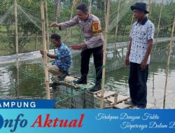 Bhabinkamtibmas Polsek Menggala Bergerak Cepat, Dorong Potensi Lahan Menjadi Kekuatan Ketahanan Pangan Tulang Bawang