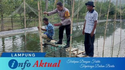 twibbon infoaktual lampung e83d6eee ef5d 413d afea 1f65e1f1dc17