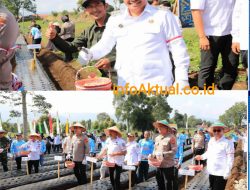 Walikota Alfin Ikuti Penanaman Bawang Putih Serentak Secara Nasional