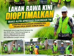 Sinergi PemKot Sungai Penuh dan TNI, Lahan Rawa Sungai Penuh Optimalisasi Lahan Pertanian