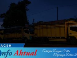 Puluhan Truk Colt Diesel Diduga Angkut Batu Bara Lewat Jalan Umum Meulaboh Calang, Izin Hauling Dipertanyakan