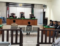 Sidang Perkara Babi Diduga Ilegal di Nias: Saksi Ahli Tegaskan Kewajiban Dokumen Karantina, Ancaman Pidana Menanti